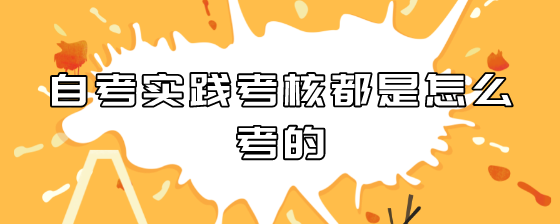 自考实践考核都是怎么考的？