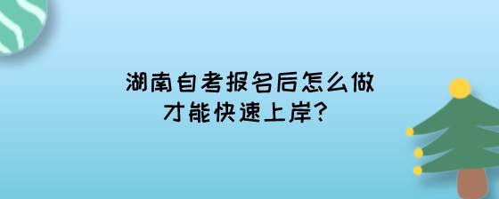 湖南自考报名后怎么做才能快速上岸?