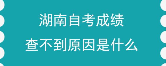 湖南自考成绩查不到原因是什么?