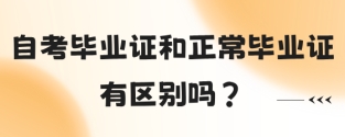 自考毕业证和正常毕业证有区别吗?